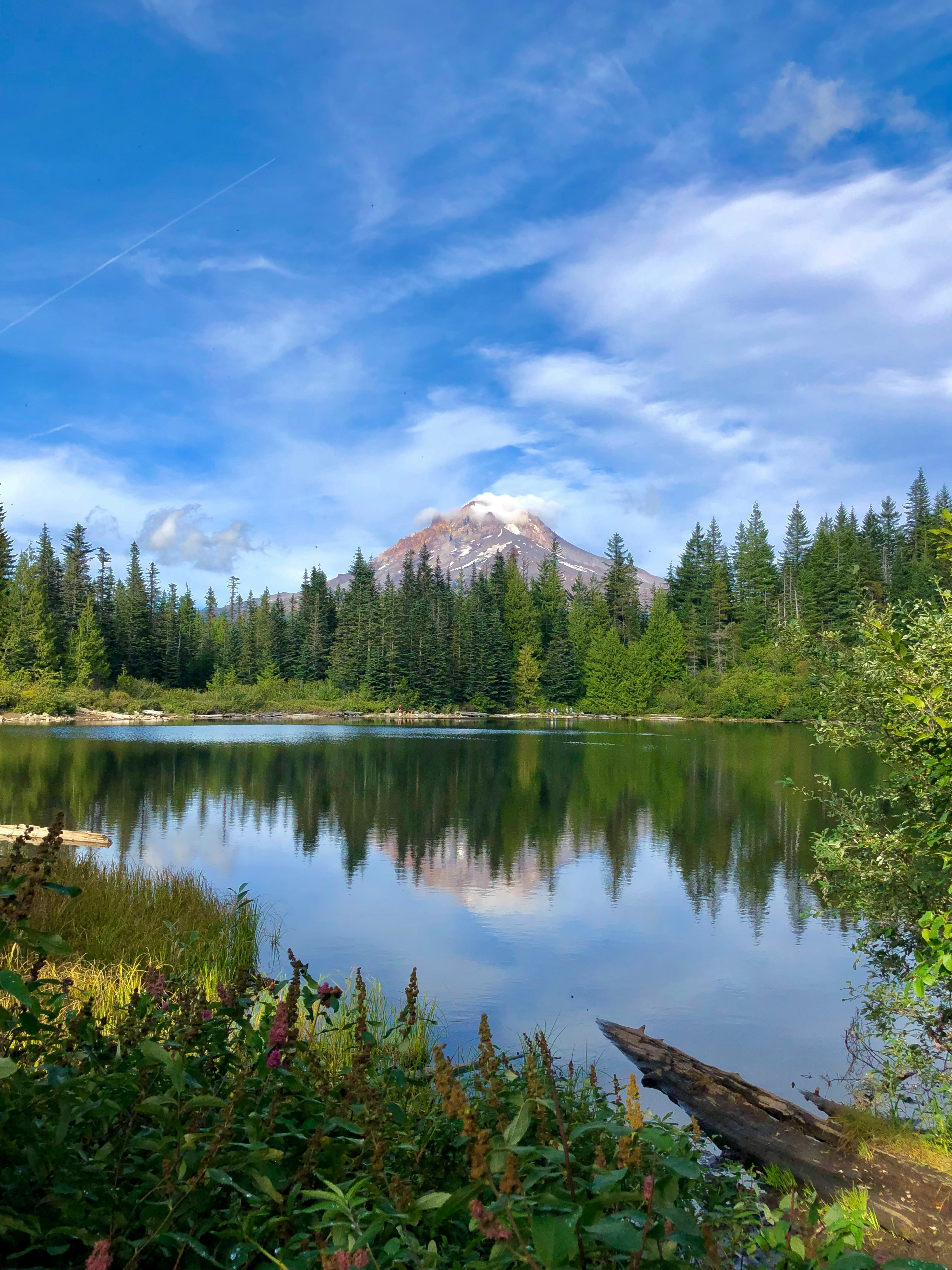 Mt. Hood reflected in Trillium Lake near Government Camp, Oregon